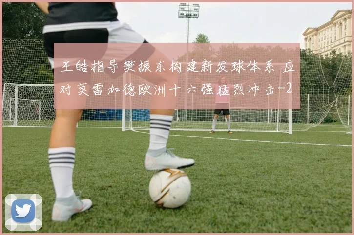 王皓指导樊振东构建新发球体系 应对莫雷加德欧洲十六强猛烈冲击